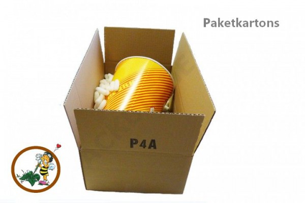 Versandverpackung P4A